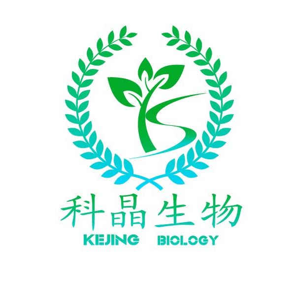 梭状芽孢杆菌核酸检测试剂盒（PCR-荧光探针法）