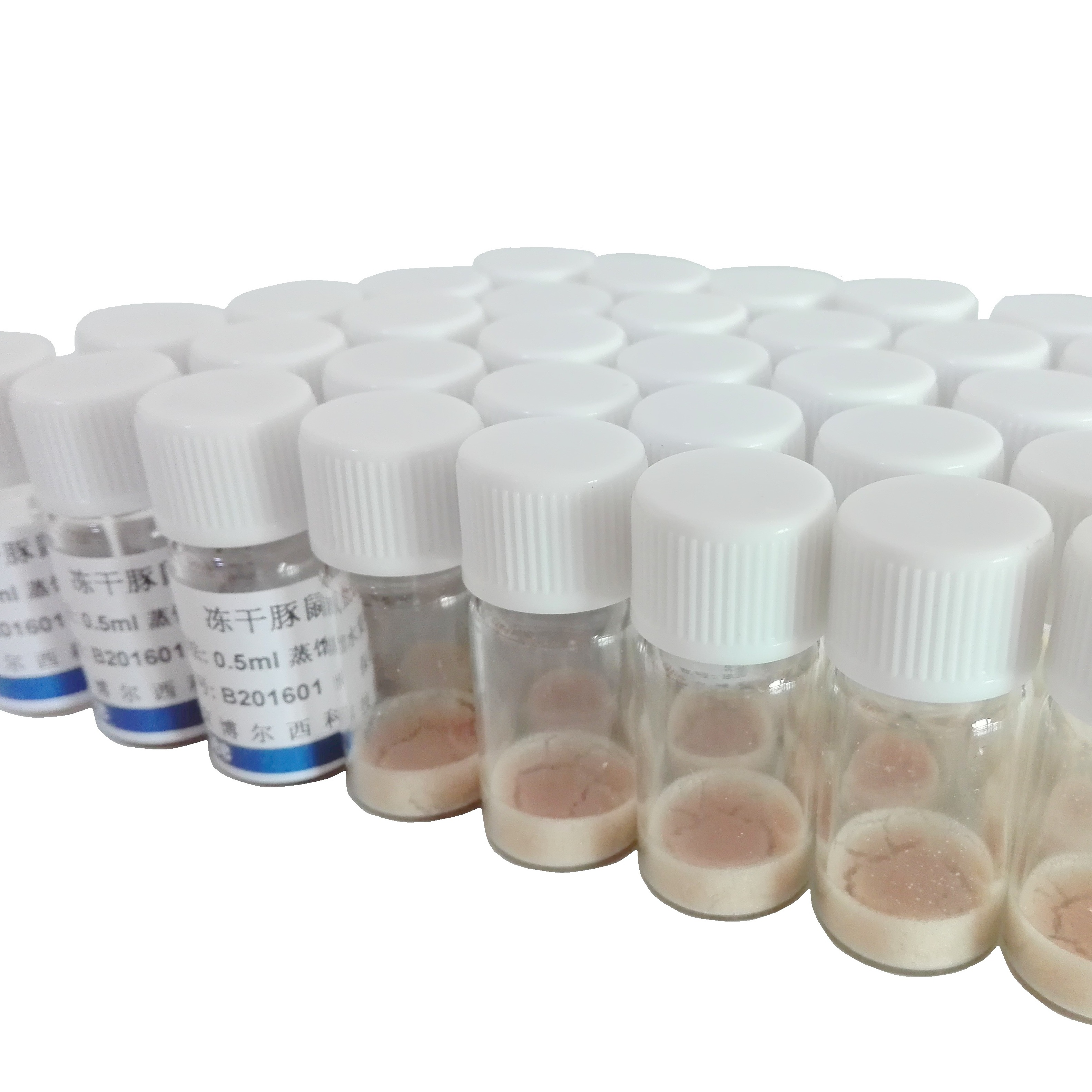 冻干补体（冻干豚鼠血清）（补体溶血实验用）