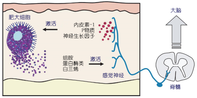 图片 3.png