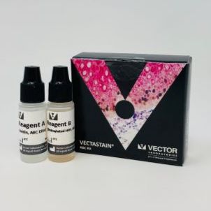 Vectastain Elite ABC Kit (Standard)Vectastain Elite ABC-HRP免疫组化试剂盒（标准）