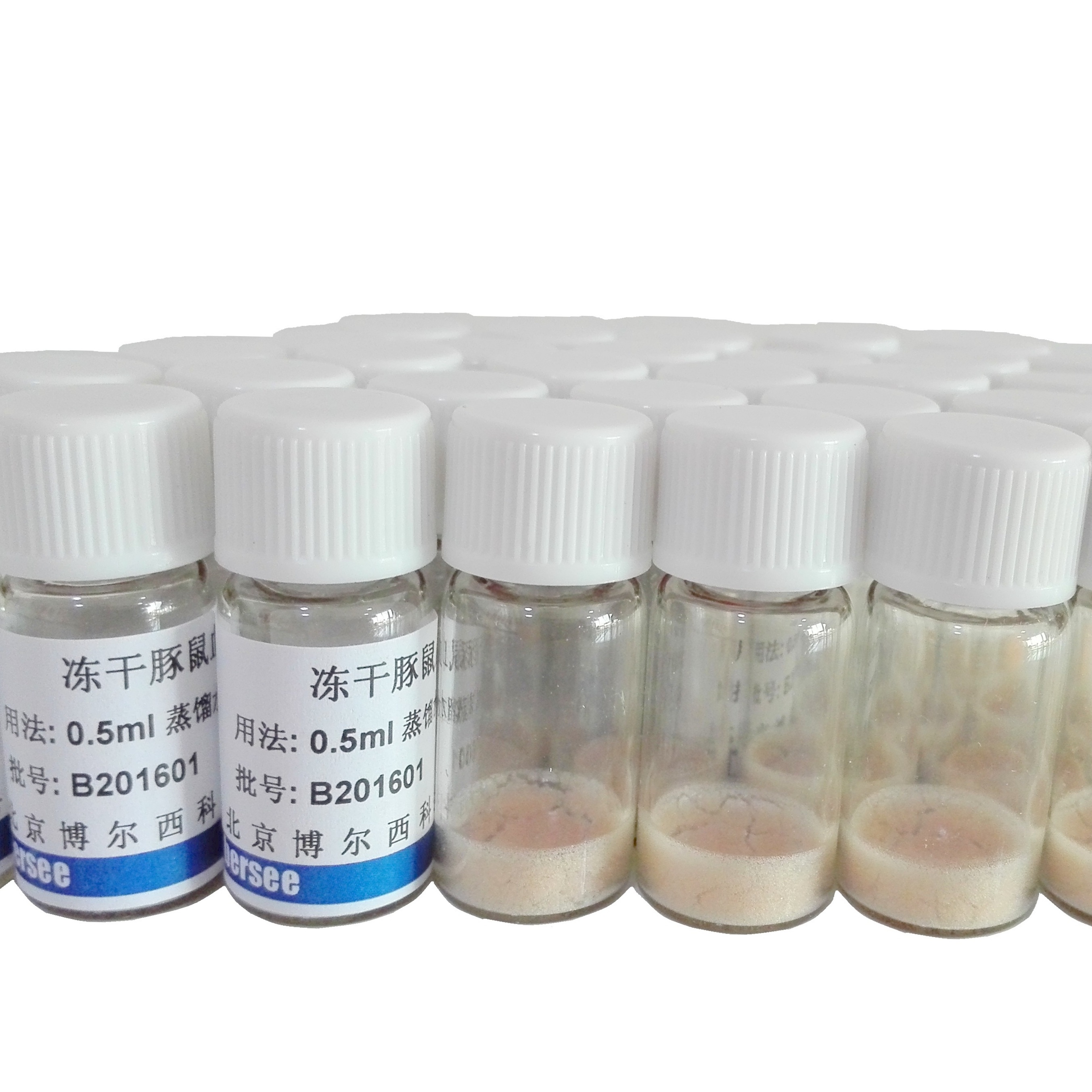 冻干补体（冻干豚鼠血清）（补体溶血实验用）