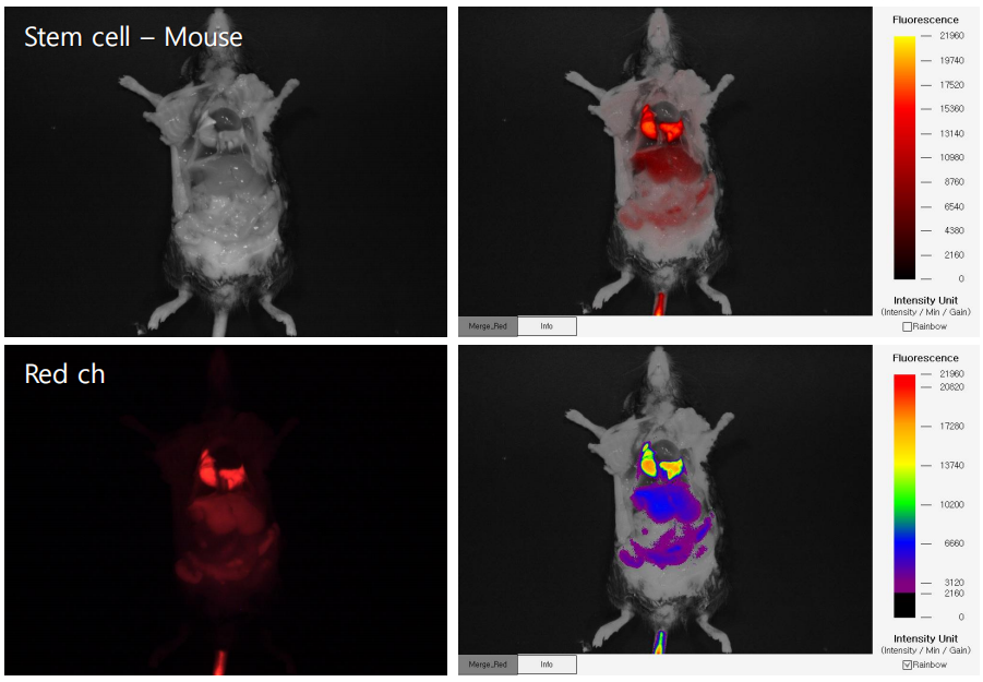 技术资料图片11