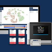 10x Genomics 单细胞转录组测序