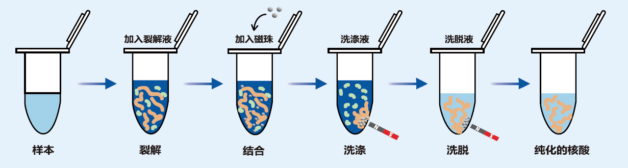 【MP课堂】磁珠法粪便提取试剂盒操作开讲，这些细节你注意到了吗