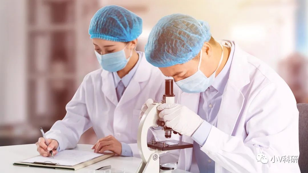 广东文华氏生物科技有限公司