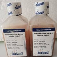 Ausgenex胎牛血清现货