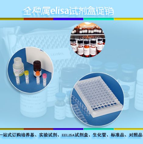 分析,大鼠Ⅲ型胶原(Col Ⅲ)48孔Elisa试剂盒