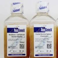 胎牛血清(AusGenex原装, 特级)现货供应