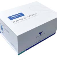 人IL-6 ELISA 试剂盒