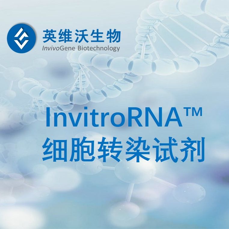 InvitroRNA™—siRNA转染试剂