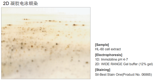 宽范围凝胶制备缓冲液