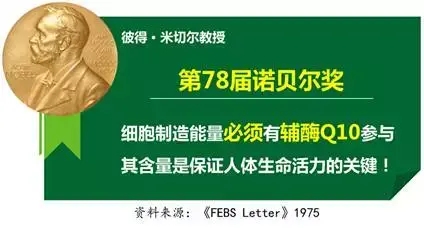 化妆品功效评价之抗氧化成分——辅酶Q10