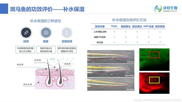 新闻图片7
