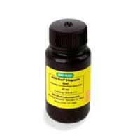 伯乐Bio-Rad1536173Affi-Gel Heparin Gel/Media,40ml 阿菲凝胶肝素凝胶/培养基,现货