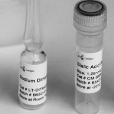 Ludger 多糖标品---上海赛可锐生物