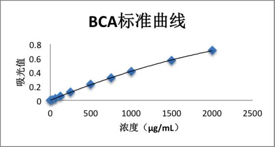 增强型BCA蛋白定量试剂盒