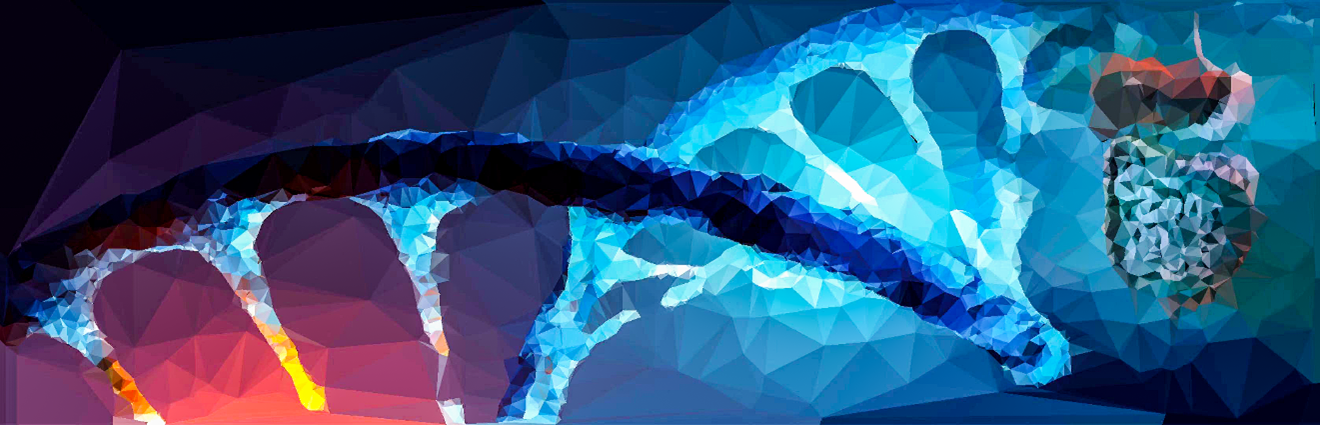 【案例分享】稳定输出,样本 DNA 提取结果不再靠玄学