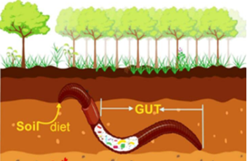 【案例分享】稳定输出,样本 DNA 提取结果不再靠玄学
