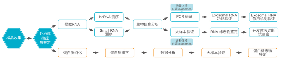外泌体研究高分文章有大招，全面策略+一站式技术工具值得借鉴！