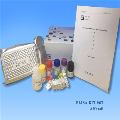 人Ⅱ型胶原螺旋肽(HELIX-Ⅱ)ELISA Kit