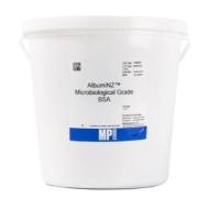 牛血清白蛋白(BSA,GOLD)(合集)