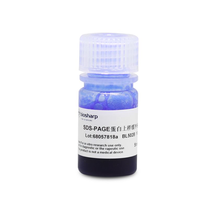 biosharp BL502B SDS-PAGE蛋白上样缓冲液(5X)