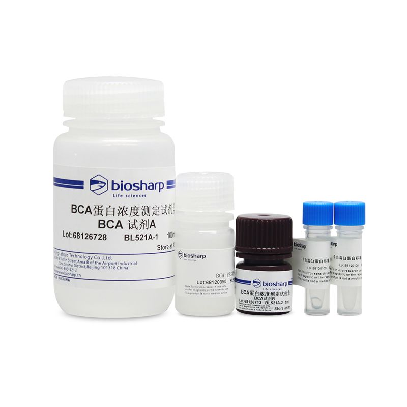 biosharp BL521A BCA蛋白浓度测定试剂盒