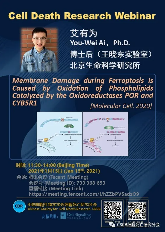 预告 1月15日11:30 Webinar丨特邀王晓东实验室艾有为博士解读最.新铁死亡文章