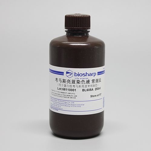 biosharp BL605A 考马斯亮蓝染色液 常规法 