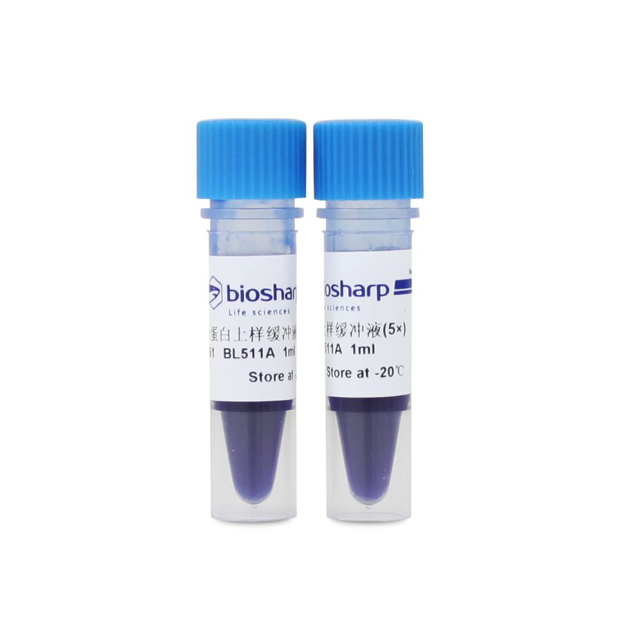 biosharp BL511B	5x SDS-PAGE蛋白上样缓冲液（变性非还原型）