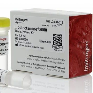 invitrogen Lipofectamine™ 3000 脂质体转染试剂 L3000015