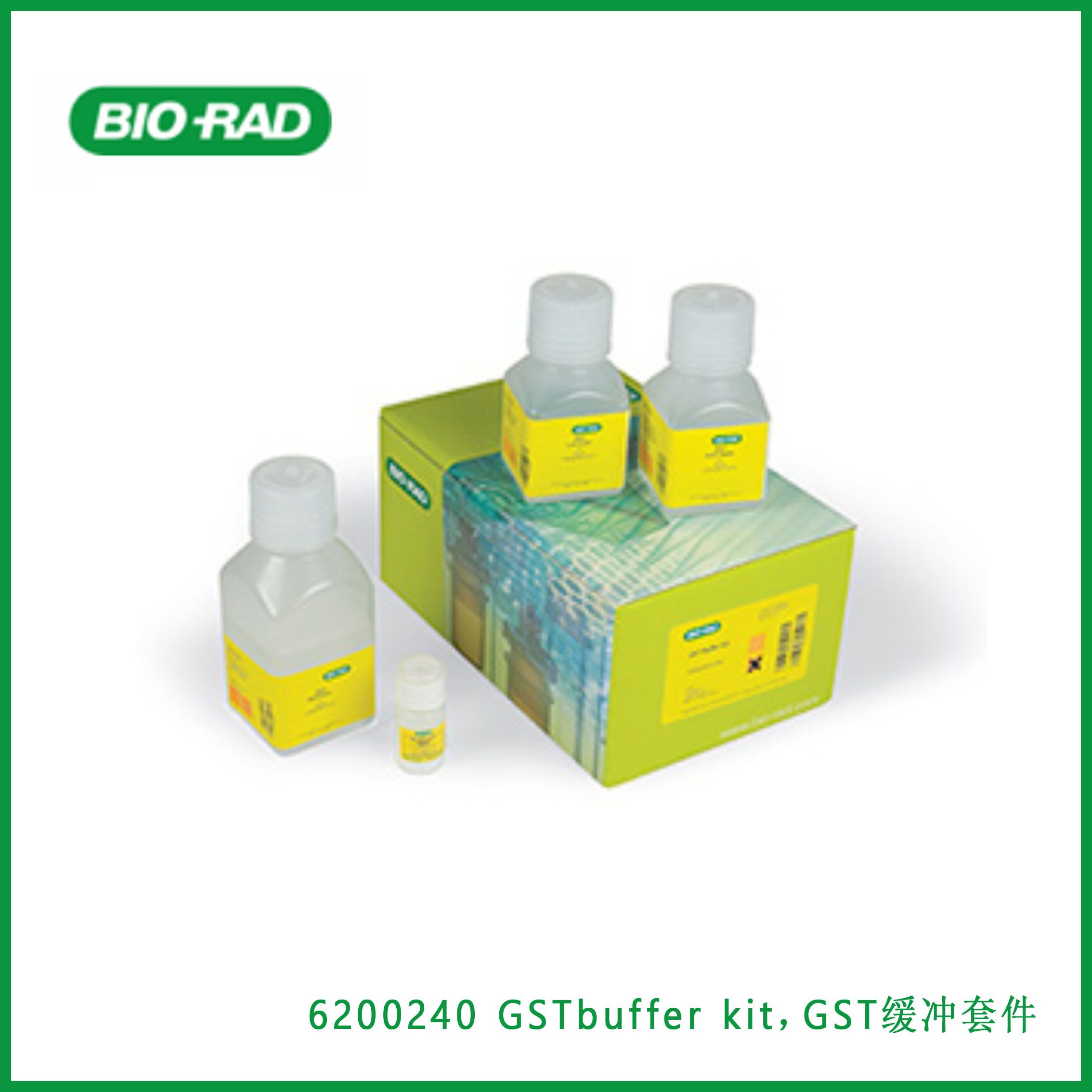伯乐Bio-Rad 6200240 GST buffer kit，GST缓冲套件，现货