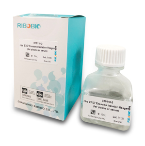 新型外泌体分离技术，兼容各类样本，案例为证！