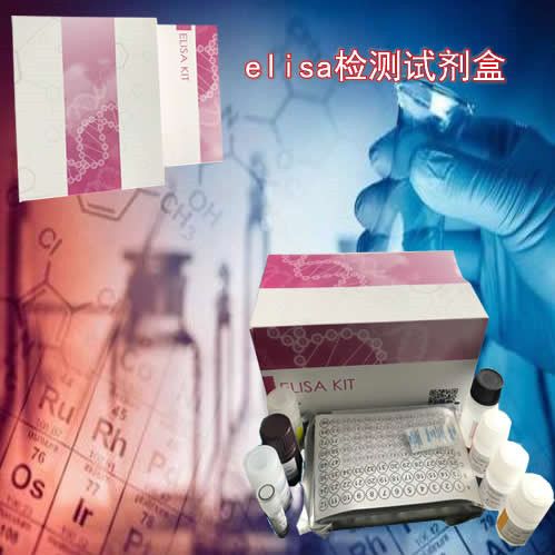 人尿碘ELISA检测试剂盒