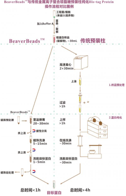 His-tag蛋白纯化磁珠