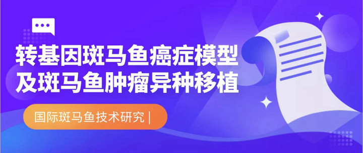 国际研究|转基因斑马鱼癌症模型及斑马鱼肿瘤异种移植