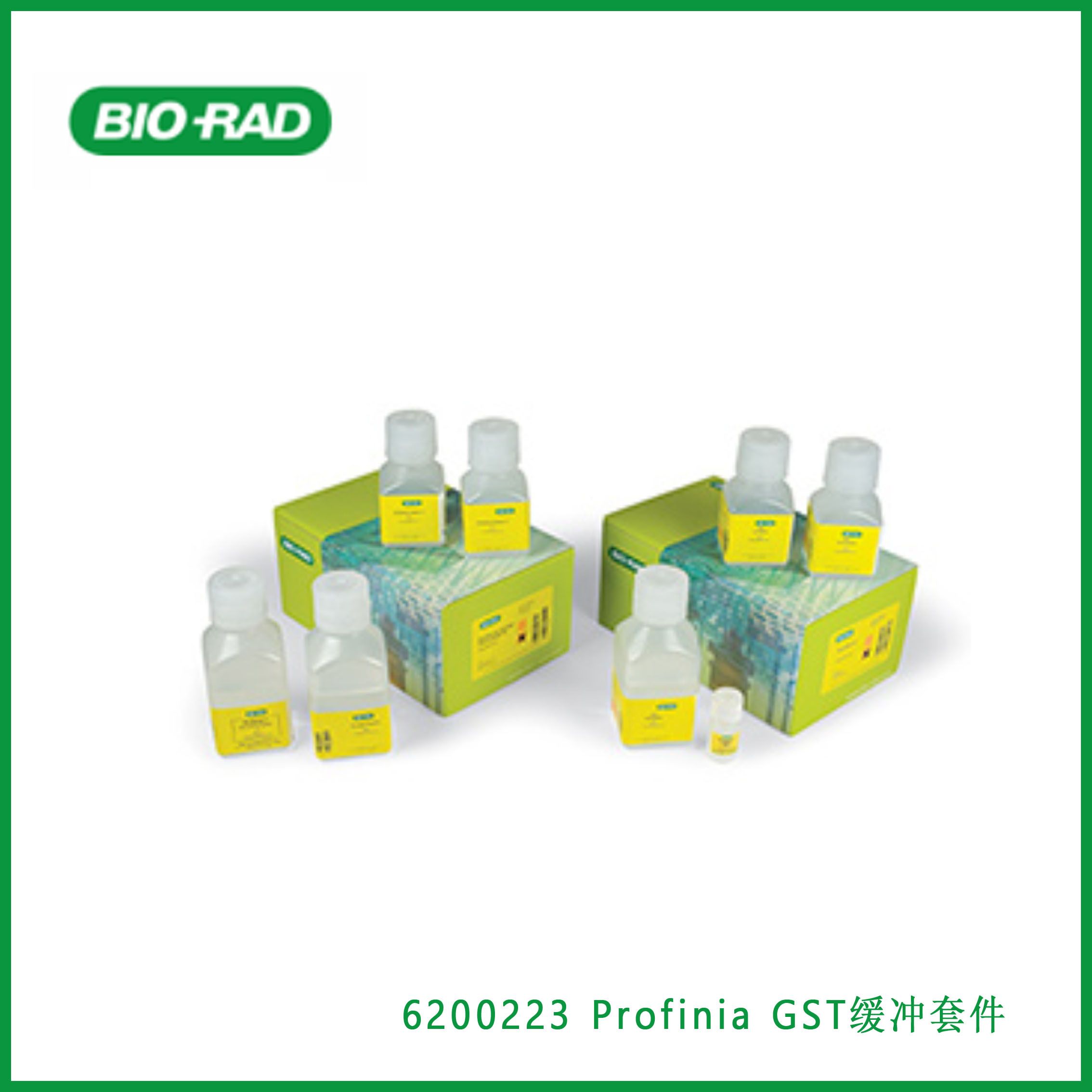 伯乐Bio-Rad 6200223 Profinia GST Buffer Kit，Profinia GST缓冲套件，现货