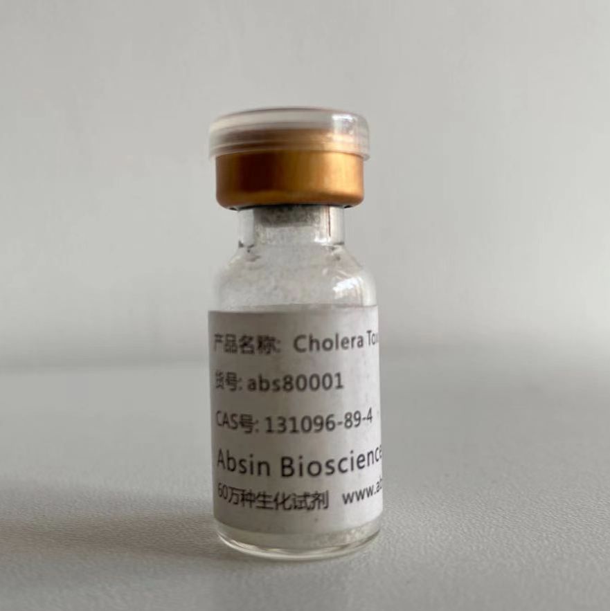 CHOLERA TOXIN SUBUNIT B 霍乱毒素B亚单位