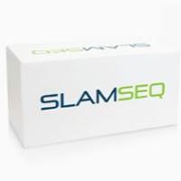 Lexogen SLAMseq-Metabolic RNA Labeling