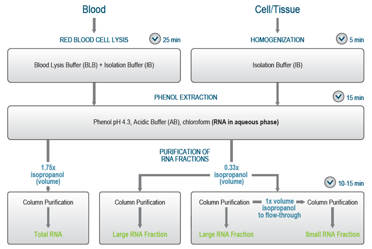 Lexogen SPLIT RNA Extraction