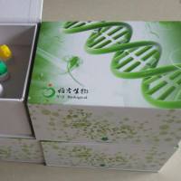 37种脂肪酸测定