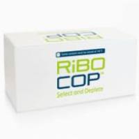 Lexogen RiboCop rRNA Depletion V1.3 (Human, Mouse, Rat)