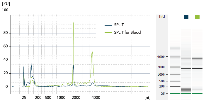 Lexogen SPLIT RNA Extraction