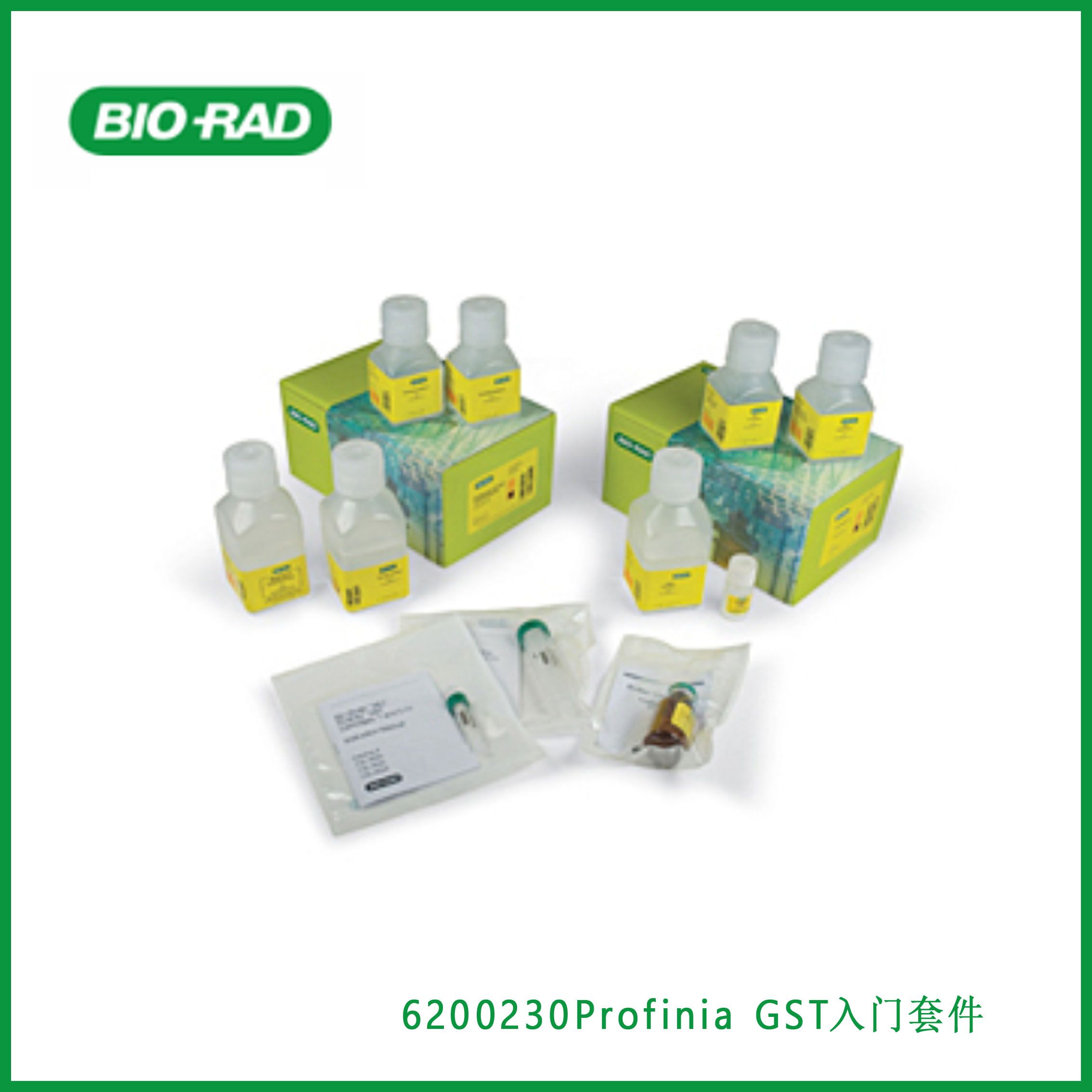 伯乐Bio-Rad 6200230Profinia GST Starter Kit，Profinia GST入门套件，现货