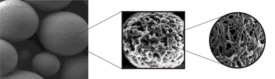 磁珠 (一)丨磁珠 VS 琼脂糖珠，怎么选？