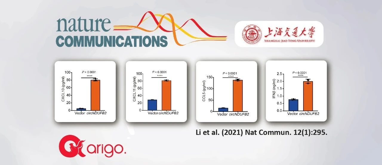 【Nat Commun】 2021 年 arigo 高分文献