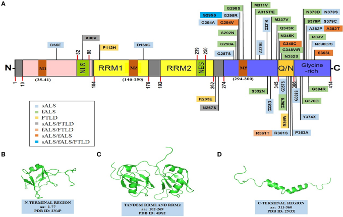 神经退行性疾病致病基因之TARDBP