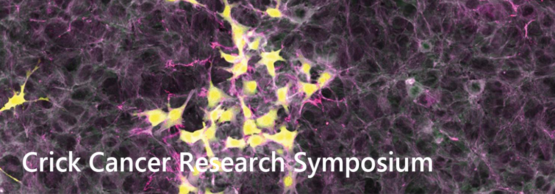 从化合物库定制到有机化合物定制合成