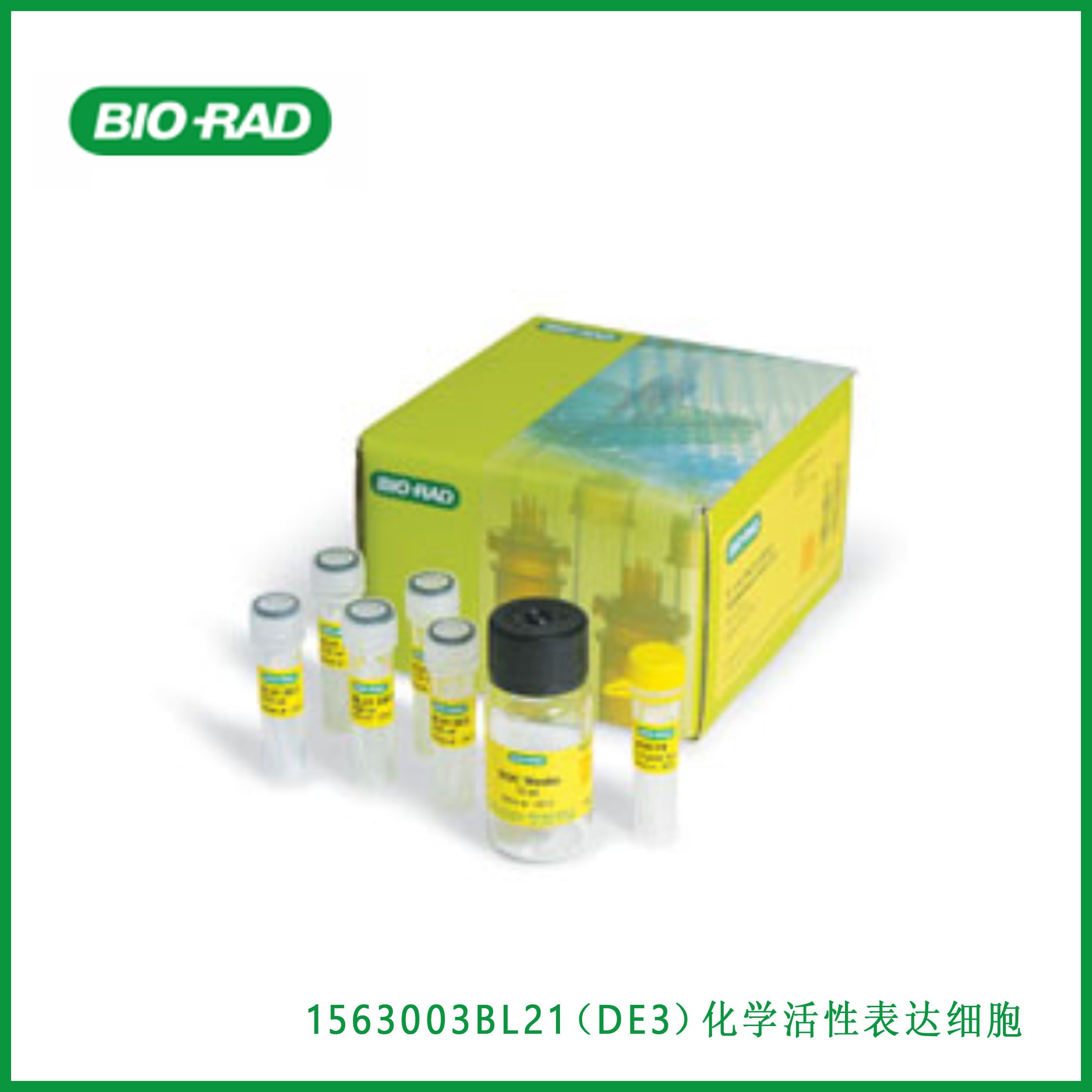 伯乐Bio-Rad 1563003BL21 (DE3) Chemi-Competent Expression Cells，BL21（DE3）化学活性表达细胞,现货