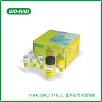 伯乐Bio-Rad 1563003BL21 (DE3) Chemi-Competent Expression Cells，BL21（DE3）化学活性表达细胞,现货